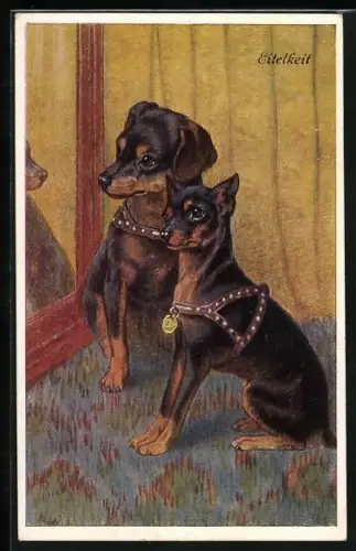 AK Eitelkeit, zwei Terrier vor einem Spiegel