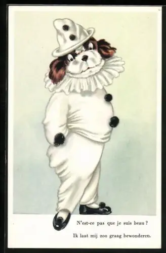 AK Sehe ich nicht gut aus? vermenschlichte Tiere, Hund