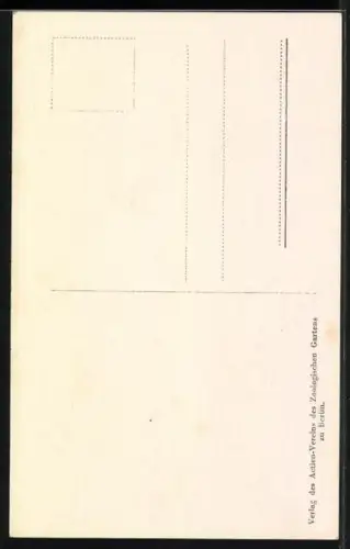 AK Berlin, Zoologischer Garten, Persischer Leopard