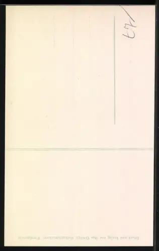 AK Wernigerode, Mitteldeutsches Gau-Kegeln, 1909, Junge zwischen Kegeln