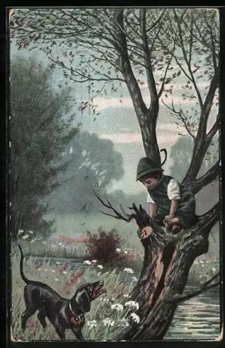 AK Junge hat sich aus Angst vor einem Dackel auf einen Baum geflüchtet