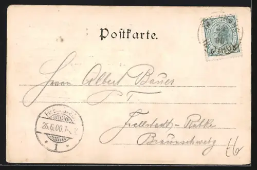 AK Steinhaus im Ahrnthal, Teilansicht mit Talblick aus der Vogelschau