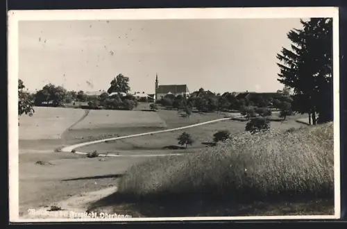 AK Waldburg bei Freystadt, Landpartie mit Strasse und Ortspanorama