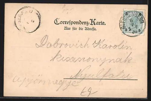 AK Gleichenberg, Ortsansicht von der Rudolfshöhe aus