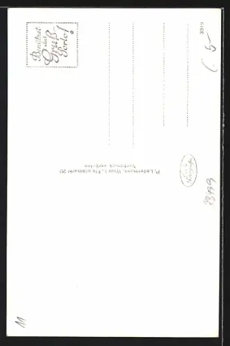 AK St. Gallen /Stmk., Kuranstalt Pension Spitzenbach