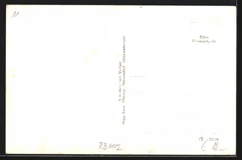 AK Gössl, Gasthof Veit mit Umgebung