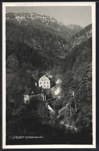 AK St. Gallen, Spitzenbach, Ortspartie mit einigen Häusern