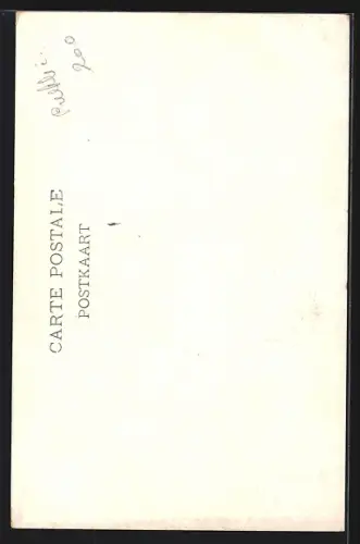 AK Bruges, Le Cranenborg