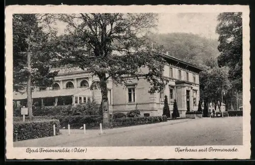 AK Bad Freienwalde /Oder, Kurhaus mit Promenade