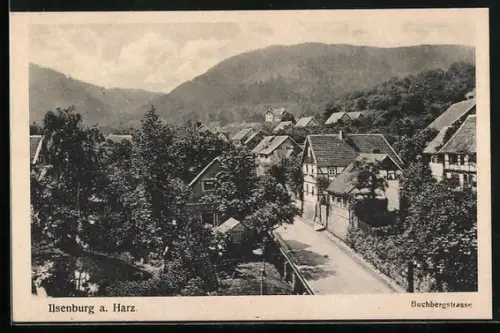 AK Ilsenburg a. Harz, Buchbergstrasse