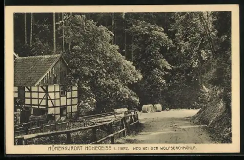 AK Hohegeiss i. Harz, Weg bei der Wolfsbachmühle