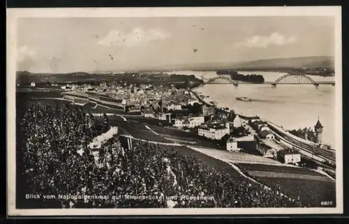 AK Rüdesheim / Rhein, Blick vom Nationaldenkmal auf den Ort