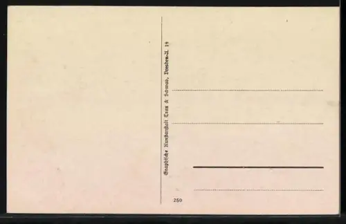 AK Schandau /Sächs. Schweiz, Ortspanorama