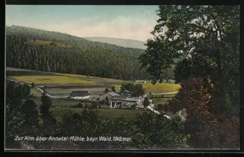 AK Annatal-Mühle /Bayer. Wald, Zur Alm über Annatal-Mühle