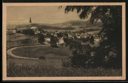 AK Waldkirchen / Bayrischer Wald, Ortsansicht mit Kirche
