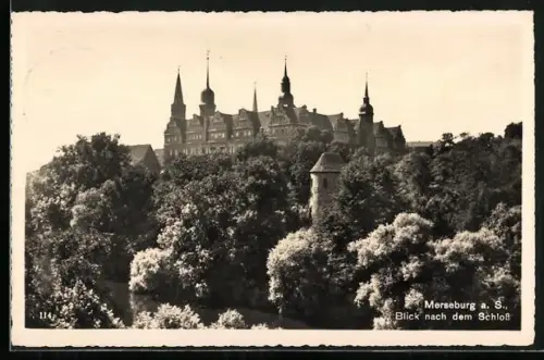 AK Merseburg a. S., Blick nach dem Schloss