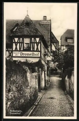 AK Rüdesheim / Rhein, Historischer alter Drosselhof