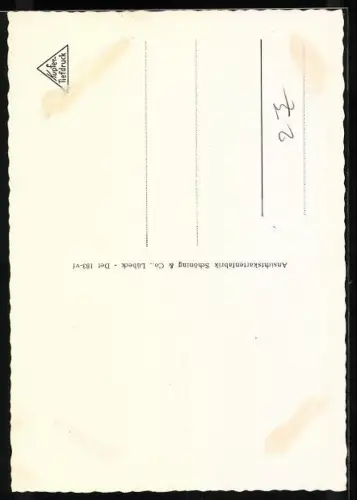 AK Detmold, Alte Häuser in der Adolfstrasse