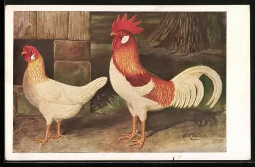 Künstler-AK sign. Kurt Zander: Rotgesattelte Italiener