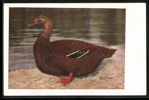 Künstler-AK sign. Kurt Zander: Rouen-Ente
