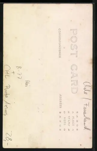 AK Punta Arenas, Gefangener Hai