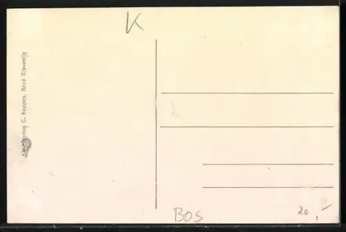 AK Brod a. S., Belebter Wochenmarkt