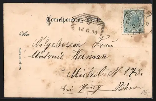 Lithographie Wien-Kahlenbergerdörfl, Leopoldsberg