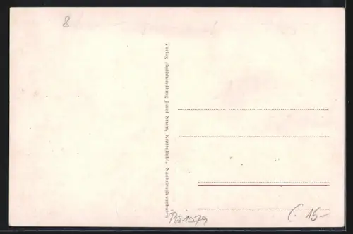 AK Alt-Knittelfeld, Stadtturm, Kirche, Teich mit Lutherkanzel