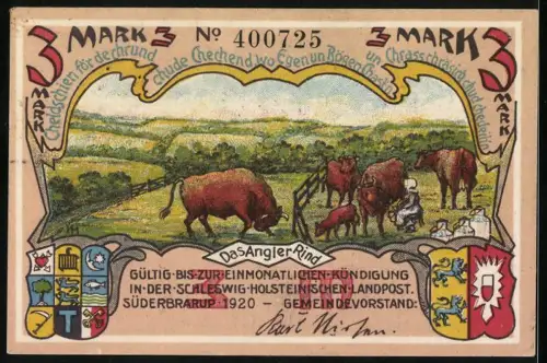 Notgeld Süderbrarup 1920, 3 Mark, Torsbergmoor mit Hünengrab, Angler Rind mit Wappen