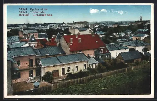 AK Stryj, Totalansicht