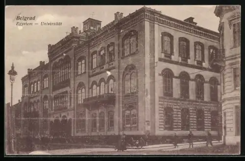 AK Belgrad, Universität