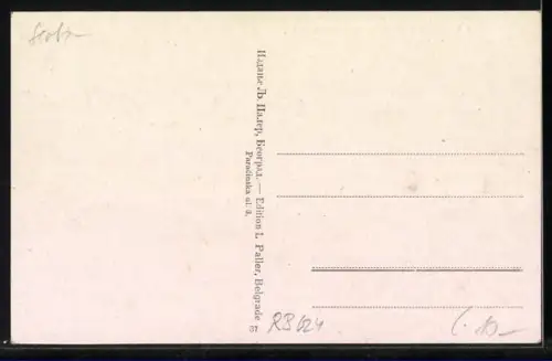 AK Belgrade, Une vue sur la Rue de Karageorge, Strassenpartie