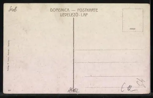 AK Zemun, Partie am Spital