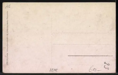 AK Pancsova, Rákóczi Gasse