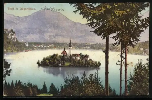 AK Bled in Begunscica, Panorama