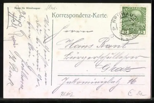 AK Bad Neuhaus, Villa mit Park