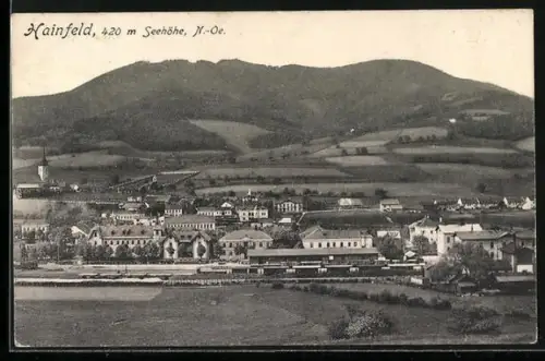 AK Hainfeld /N.-Oe., Bahnhof und Ortsansicht