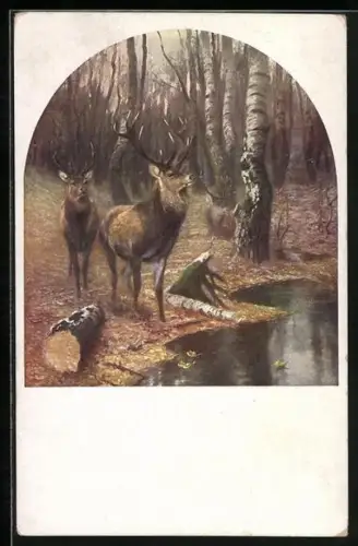 AK Hirsche im herbstlichen Wald