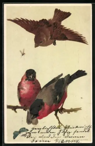 AK Zwei Vögel sitzen auf einem Zweig, ein weiterer Vogel fliegt herbei