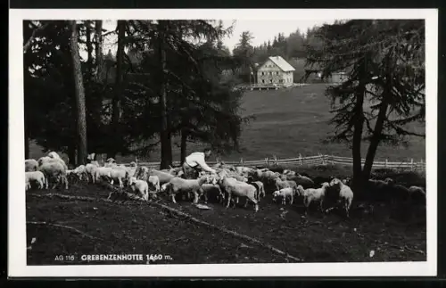 AK Grebenzenhütte, Berghütte und Hirte mit Schafen