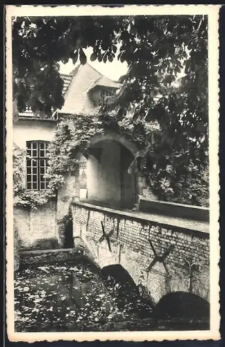 AK Renaix, Etang Cambier