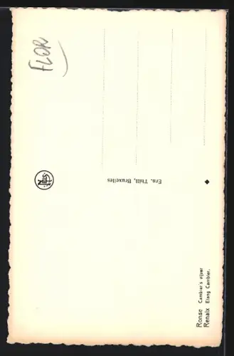 AK Renaix, Etang Cambier