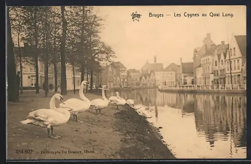 AK Bruges, Les Cygnes au Quai Long