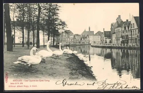 AK Bruges, Les Cygnes au Quai Long