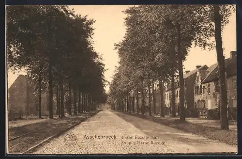 AK Asschebroeck, Baron Ruzette laan