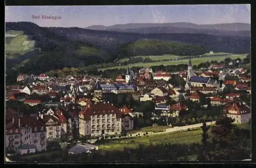 AK Bad Kissingen, Blick auf die Ortschaft