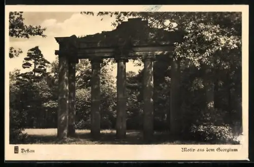 AK Dessau, Motiv aus dem Georgium