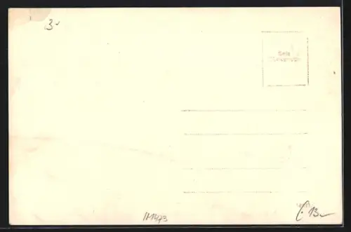 AK Feldbach /Steiermark, Strassenpartie mit Geschäften