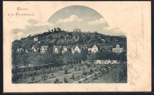 AK Hersbruck, Ortspartie mit Obstbaumplantage