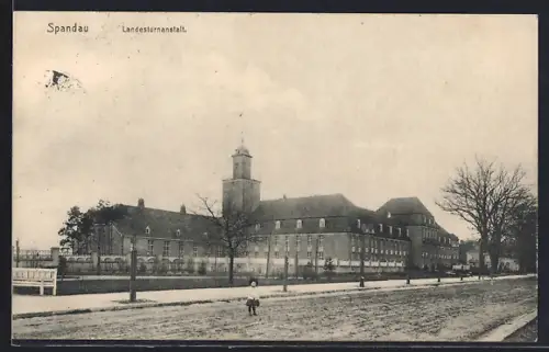 AK Berlin-Spandau, Landesturnanstalt